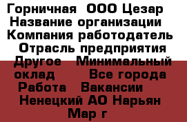 Горничная. ООО Цезар › Название организации ­ Компания-работодатель › Отрасль предприятия ­ Другое › Минимальный оклад ­ 1 - Все города Работа » Вакансии   . Ненецкий АО,Нарьян-Мар г.